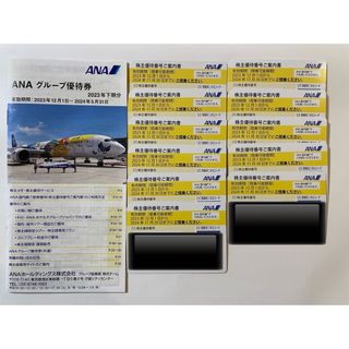 エーエヌエー(ゼンニッポンクウユ)(ANA(全日本空輸))のANA株主優待券11枚　ANAグループ優待券1冊(航空券)