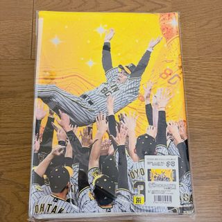 ハンシンタイガース(阪神タイガース)の阪神タイガース　日本一記念　胴上げ　タペストリー　タオル(記念品/関連グッズ)