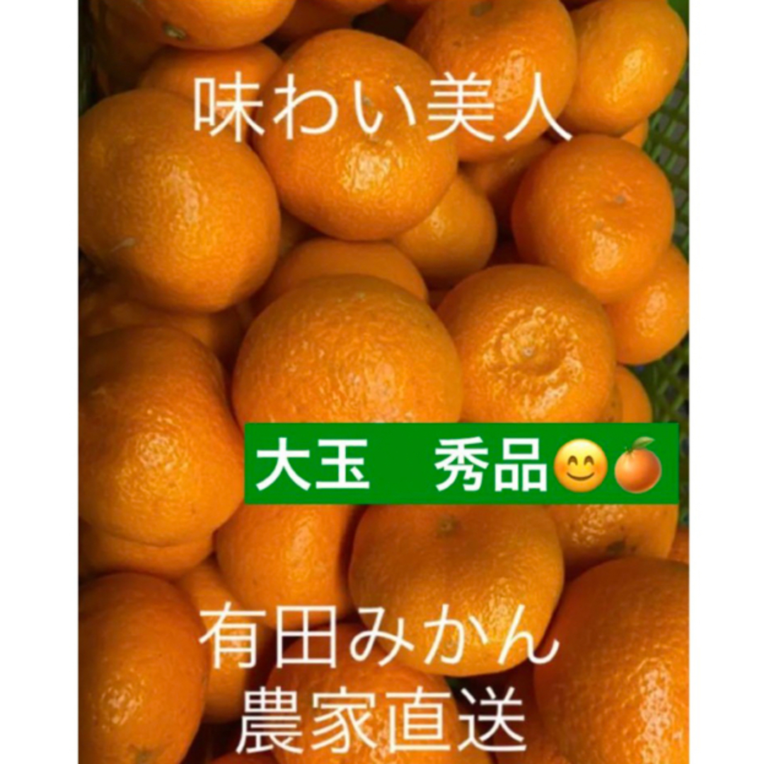 有田みかん農家直送　ブランド味わい美人大玉秀品箱込み5キロ 食品/飲料/酒の食品(フルーツ)の商品写真