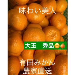 有田みかん農家直送　ブランド味わい美人大玉秀品箱込み5キロ(フルーツ)