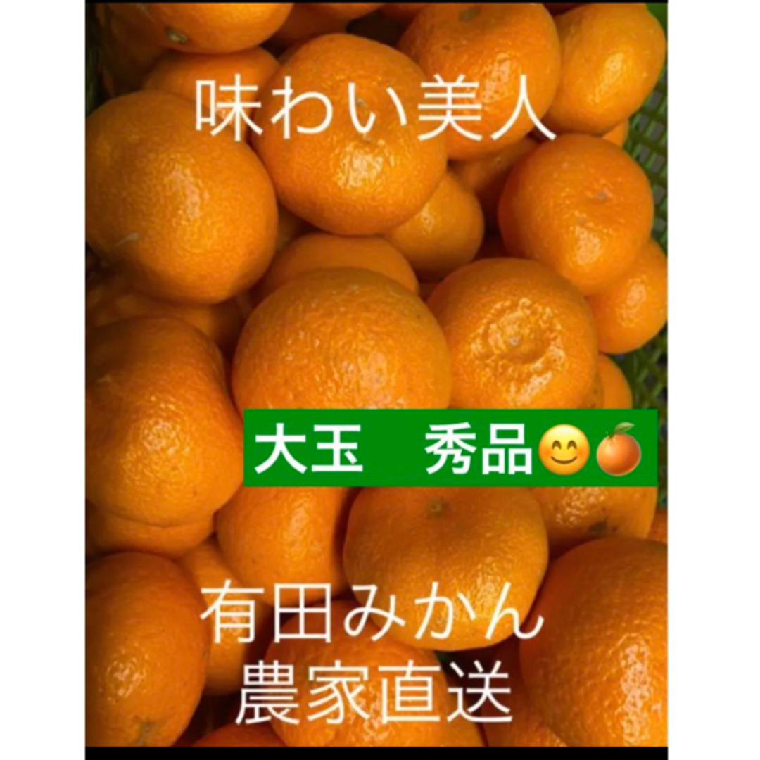 有田みかん農家直送　ブランド味わい美人大玉秀品箱込み5キロ 食品/飲料/酒の食品(フルーツ)の商品写真