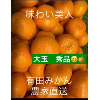 有田みかん農家直送　ブランド味わい美人大玉秀品箱込み5キロ(フルーツ)