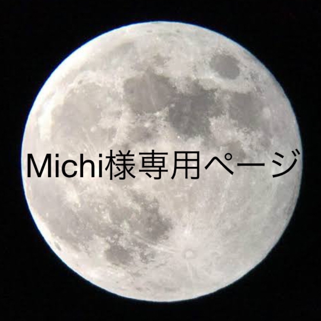 michi様専用ページの通販 by むーん's shop｜ラクマ