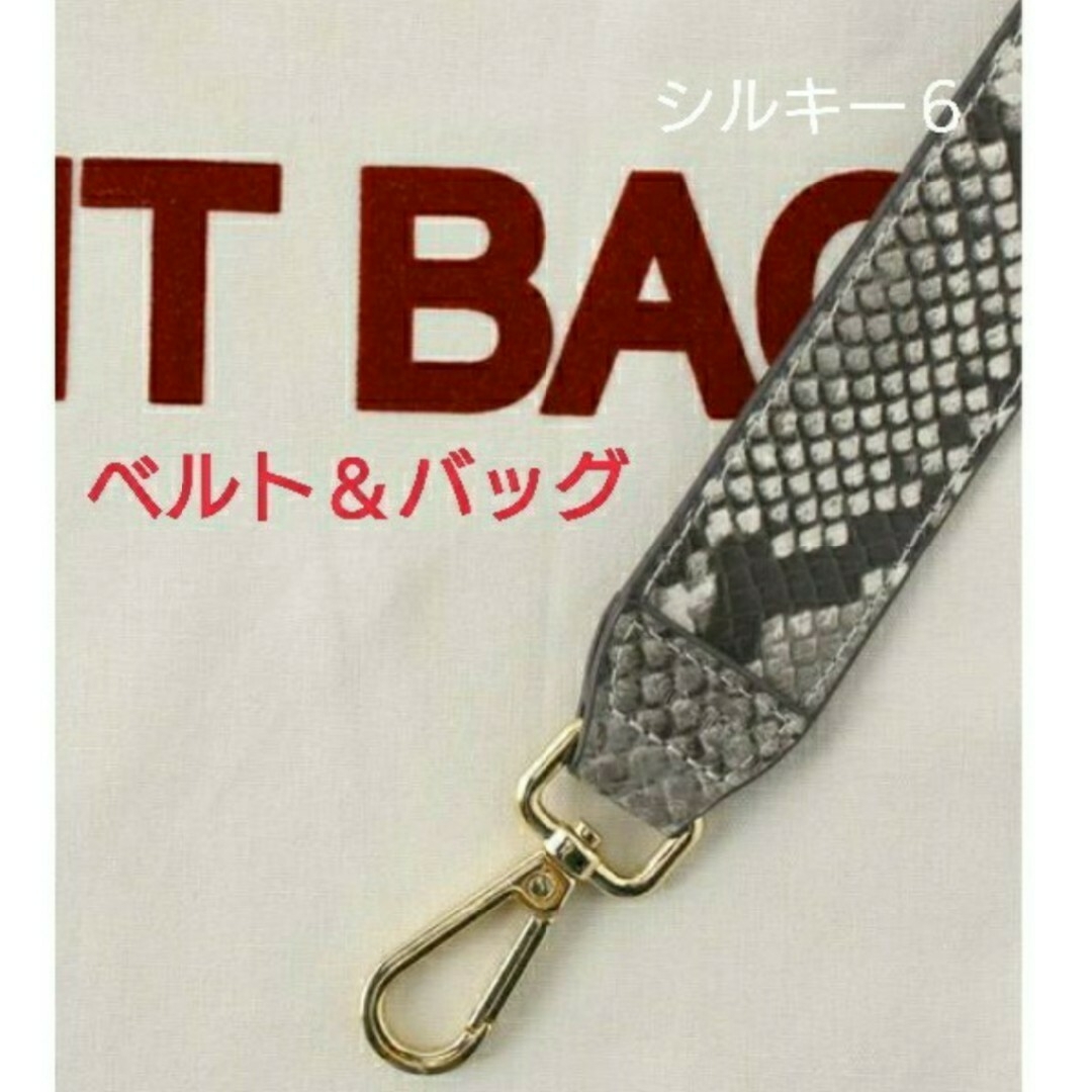 L'Appartement DEUXIEME CLASSE(アパルトモンドゥーズィエムクラス)のGOOD GRIEF グッドグリーフ Belt with It Bag レディースのバッグ(ショルダーバッグ)の商品写真