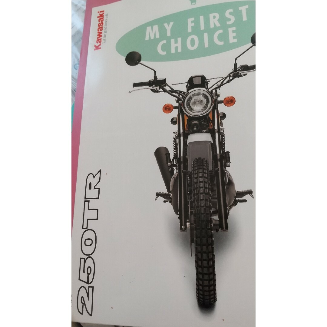 カワサキ(カワサキ)の250TR 型録 自動車/バイクのバイク(カタログ/マニュアル)の商品写真