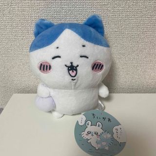 チイカワ(ちいかわ)のちいかわ ぬいぐるみ(ぬいぐるみ/人形)