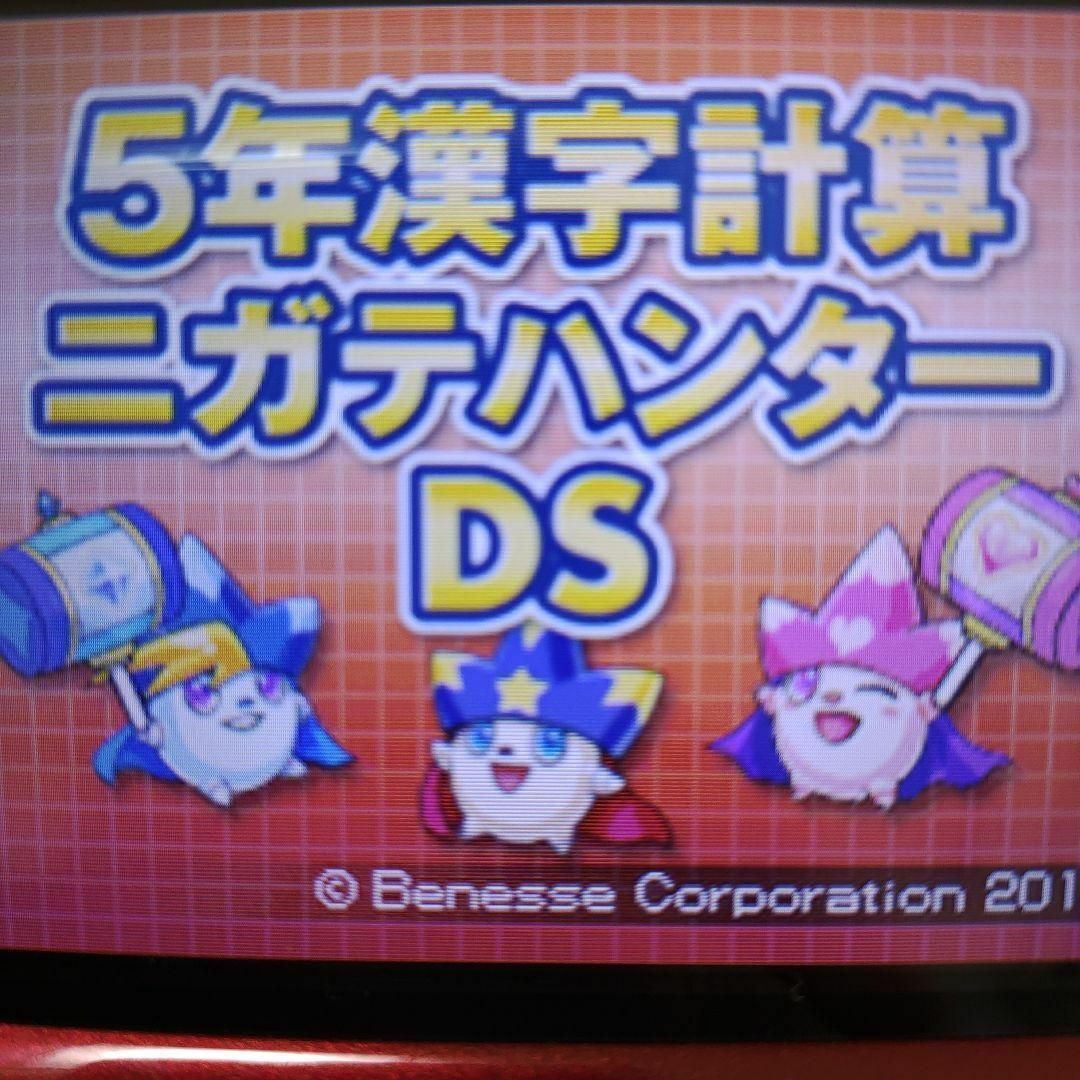 ニンテンドーDS - 5年漢字計算ニガテハンター ＤＳの通販 by だんご