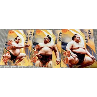 大相撲　トレカ　3力士セット(佐田の海、明生、平戸海)(相撲/武道)