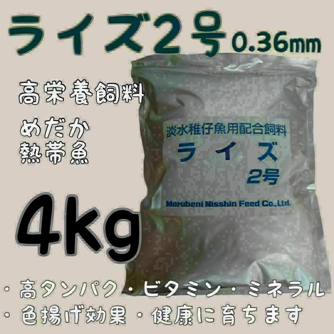 高栄養飼料メダカ餌 ライズ2号 4kg アクアリウム 熱帯魚　グッピーライズ