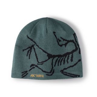 アークテリクス(ARC'TERYX)のarc'teryx bird head toque dark magic(ニット帽/ビーニー)