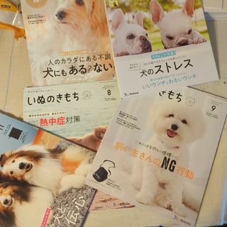いぬのきもち　2021年8.9.10.11.12月号　5冊(犬)