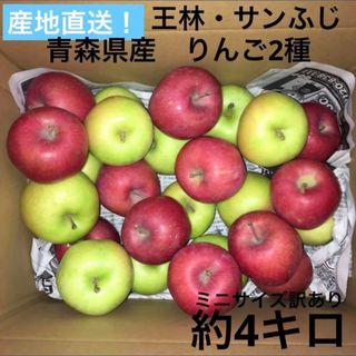 産地直送　りんご2種　青森県産　サンふじ　王林　訳あり(フルーツ)