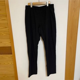 ARC'TERYX - 【新品】ARC'TERYX アークテリクス アクロープル ジョガー
