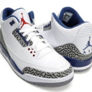 ナイキ(NIKE)のNIKE AIR JORDAN 3  TRUE BLUE us9.0 27.0(スニーカー)