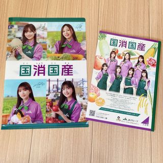 ショウワノート(ショウワノート)の乃木坂46   ファイル　学習帳　非売品　ノベルティ　新品未使用　サイン入り(アイドルグッズ)