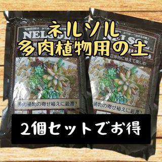 ー2個セットでお得ーネルソル多肉植物寄せ植え用の土(その他)