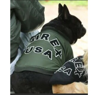 アヴィレックス(AVIREX)のAVIREX/アヴィレックス/ＭＡ－１　ロゴ/犬服(ドッグウェア)(犬)