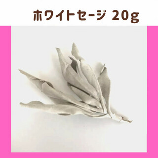 ホワイトセージ 20g(お香/香炉)