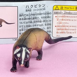 フルタセイカ(フルタ製菓)のチョコエッグ　食玩　日本の動物コレクション　139．ハクビシン(その他)