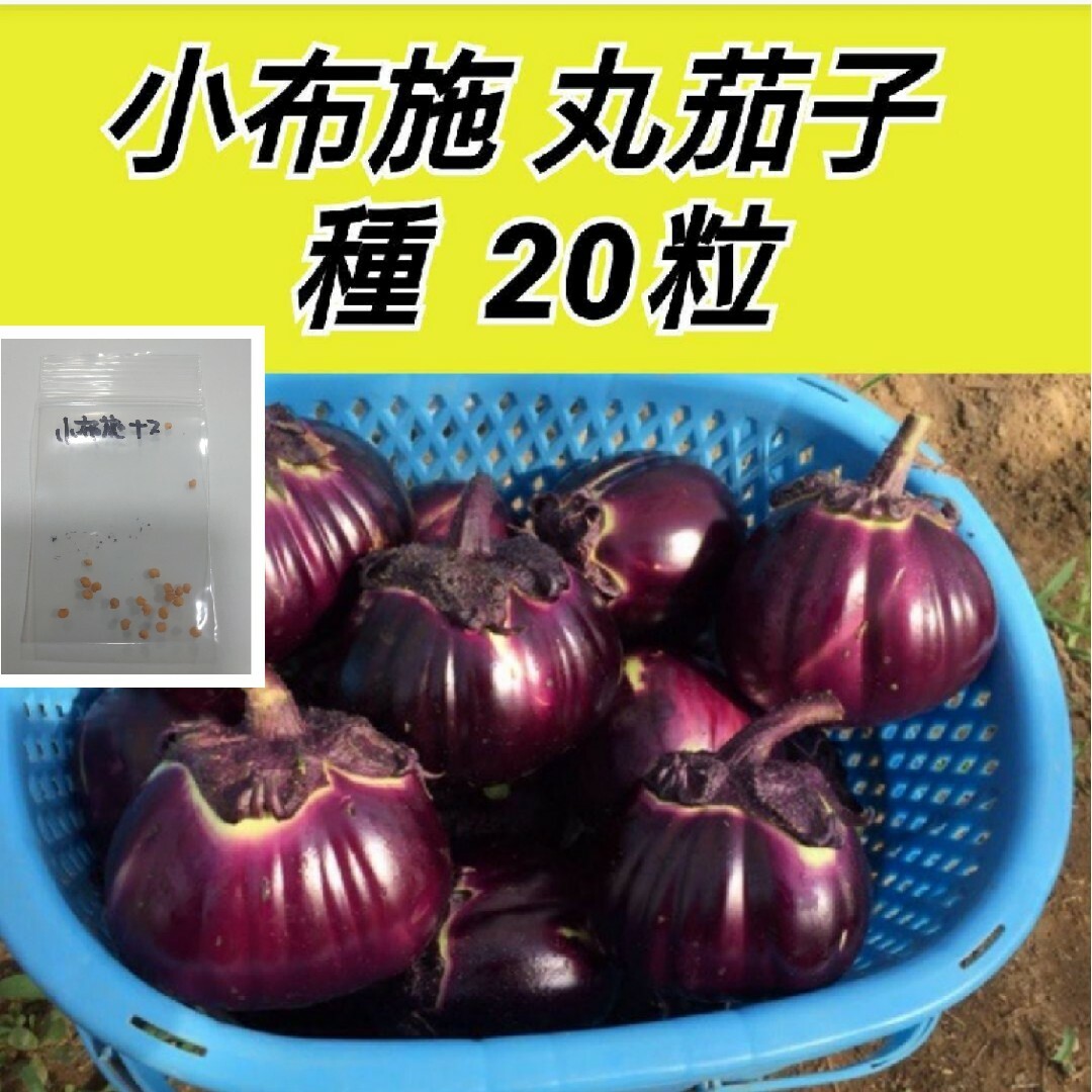 小布施丸茄子 種20粒【固定種】 ハンドメイドのフラワー/ガーデン(プランター)の商品写真