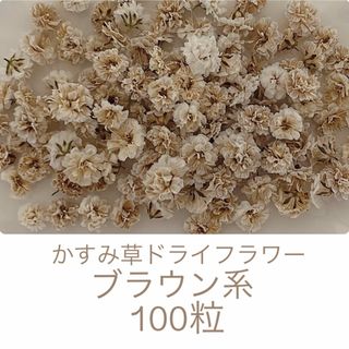 ブラウン系 かすみ草ドライフラワー100粒(ドライフラワー)