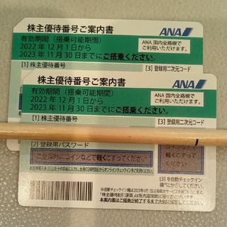 エーエヌエー(ゼンニッポンクウユ)(ANA(全日本空輸))の格安！ANA 株主優待券　2枚　2023年11月30日迄(その他)