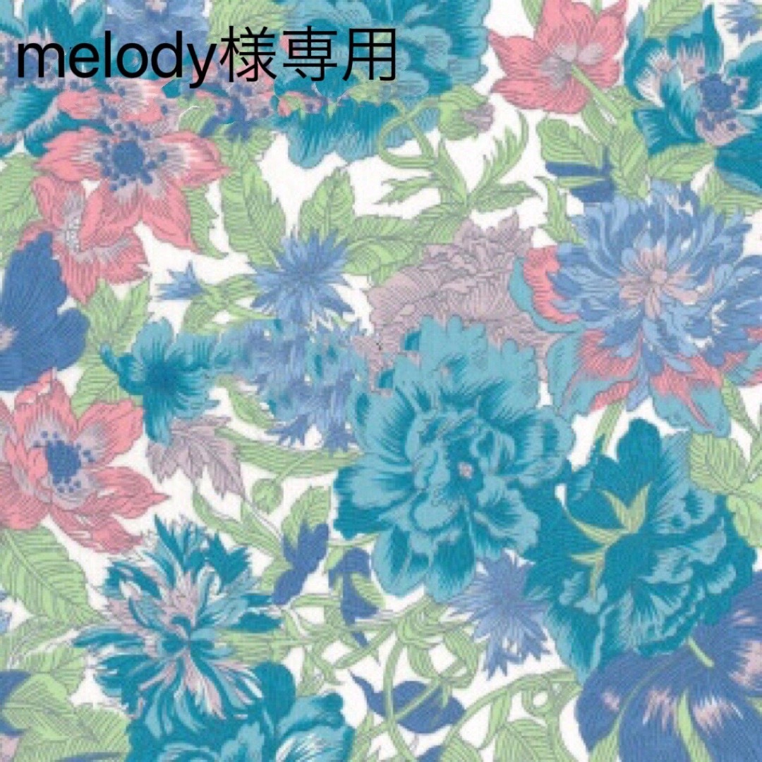 melody様専用 キッズ/ベビー/マタニティのキッズ服女の子用(90cm~)(ワンピース)の商品写真