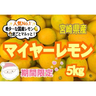 【期間限定❣️限定品】マイヤーレモン5㎏/レモン　国産レモン　みかん　果物　柑橘(フルーツ)