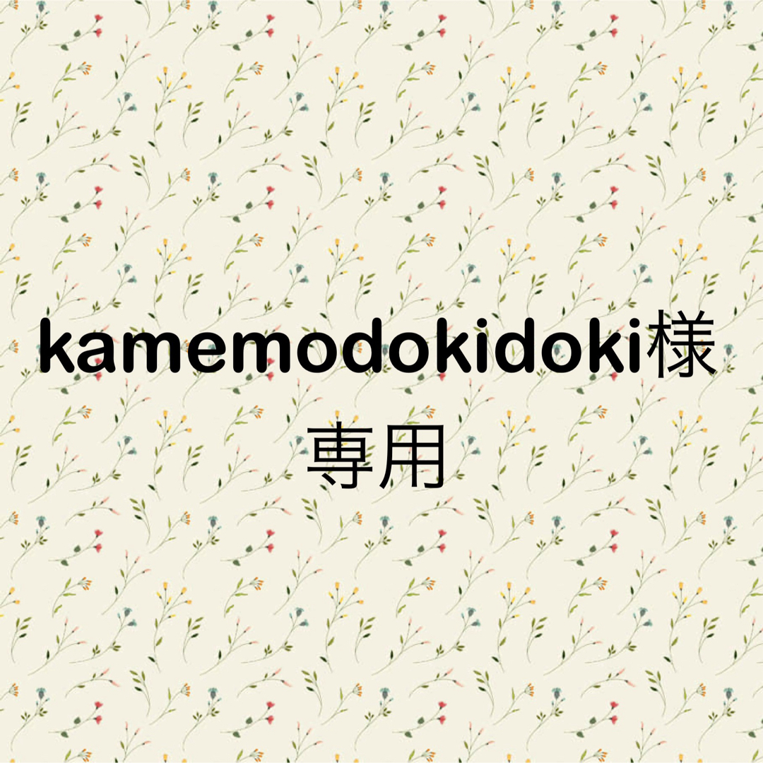 kamemodokidoki様専用 エンタメ/ホビーのアニメグッズ(ストラップ)の商品写真