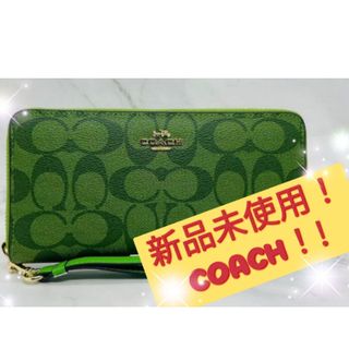 コーチ(COACH) 長財布 財布(レディース)(ゴールド/金色系)の通販