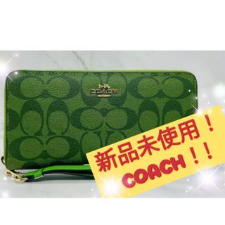 ❣️新品/未使用 COACH 折りたたみ財布 花柄 水色 ブルー 人気商品✴️