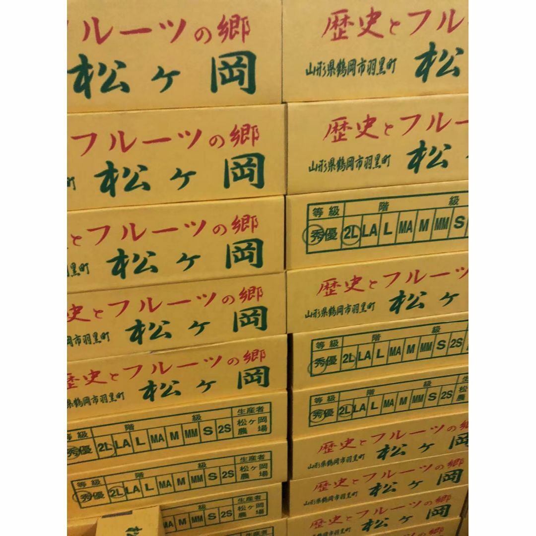 山形県産 庄内柿　25玉入りLL　秀　種なし 食品/飲料/酒の食品(フルーツ)の商品写真