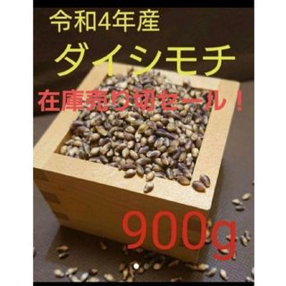 令和4年産　ダイシモチ　玄米(米/穀物)