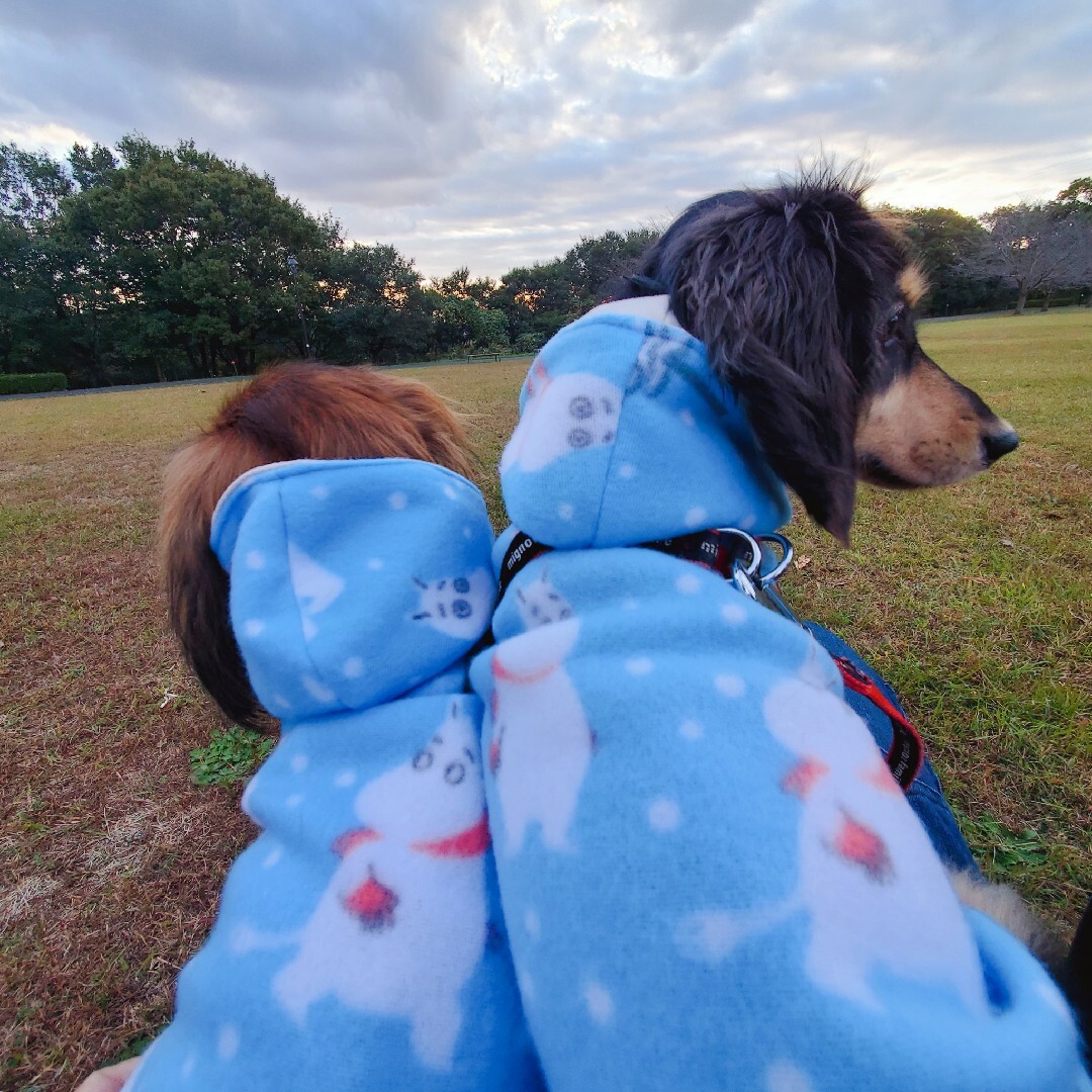 【送料無料】ハンドメイド 犬服 ダックス DS ハンドメイドのペット(ペット服/アクセサリー)の商品写真