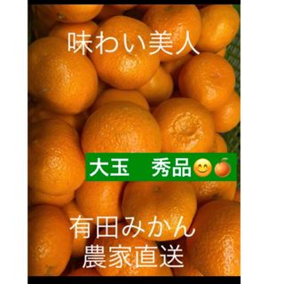 有田みかん農家直送☆味わい美人大玉秀品箱込み１０キロ(フルーツ)