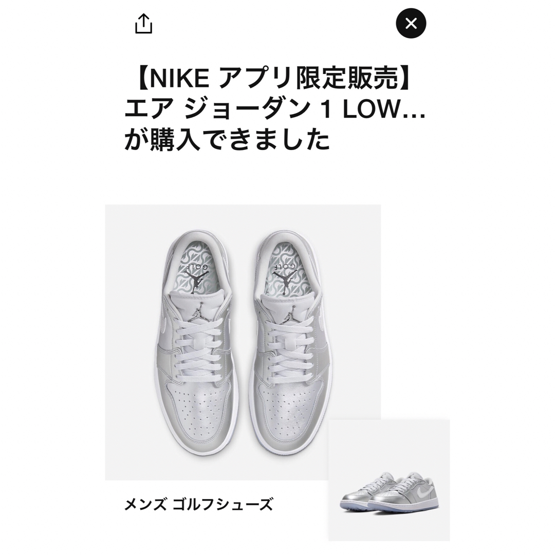 Jordan Brand（NIKE）(ジョーダン)のエアジョーダン1 HIGH GOLF NRG 28.5cm メンズの靴/シューズ(スニーカー)の商品写真