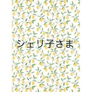 エヌオーガニック(N organic)の専用です(その他)