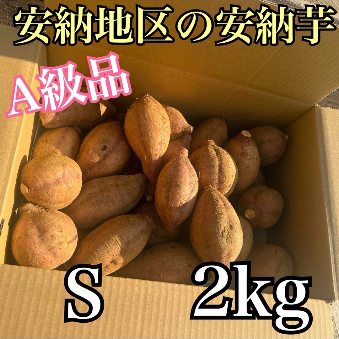 種子島 農家直送！安納地区の安納芋 M ２キロ A級品