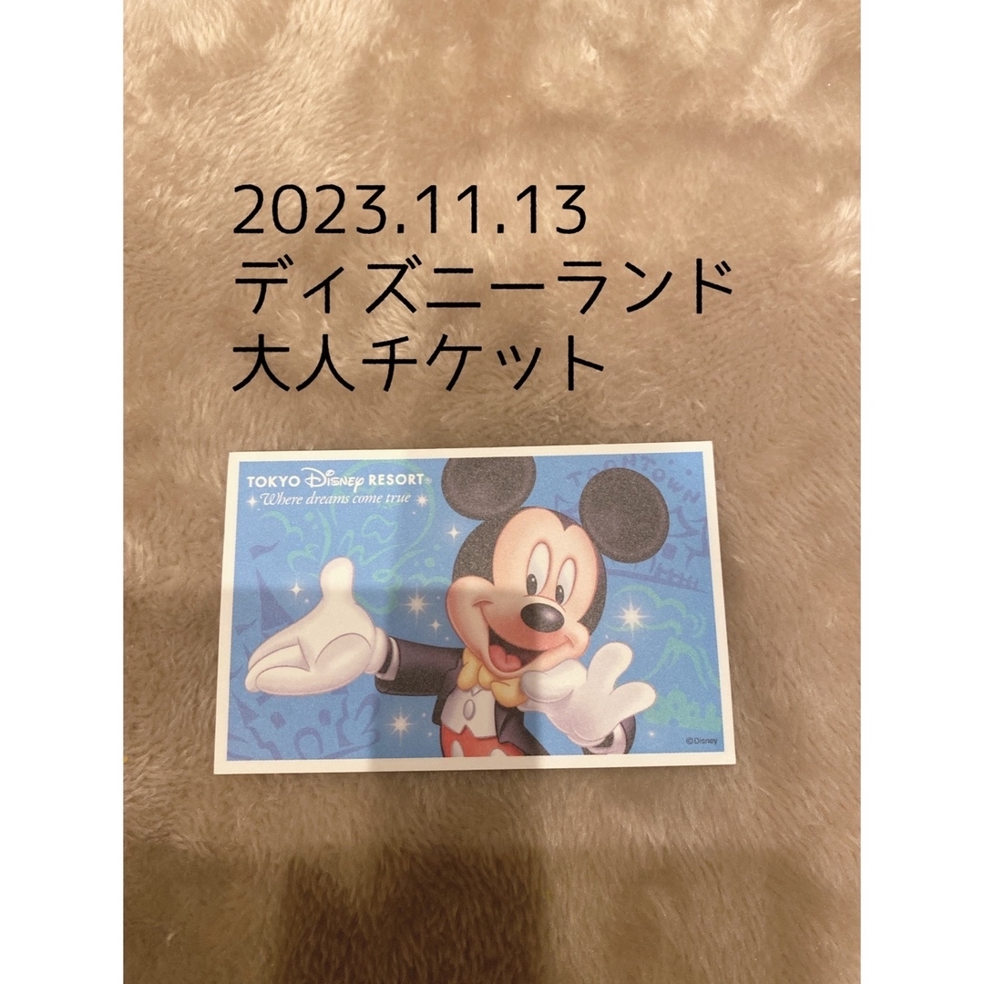 ディズニーランド　2023年11月13日のチケット チケットの施設利用券(遊園地/テーマパーク)の商品写真