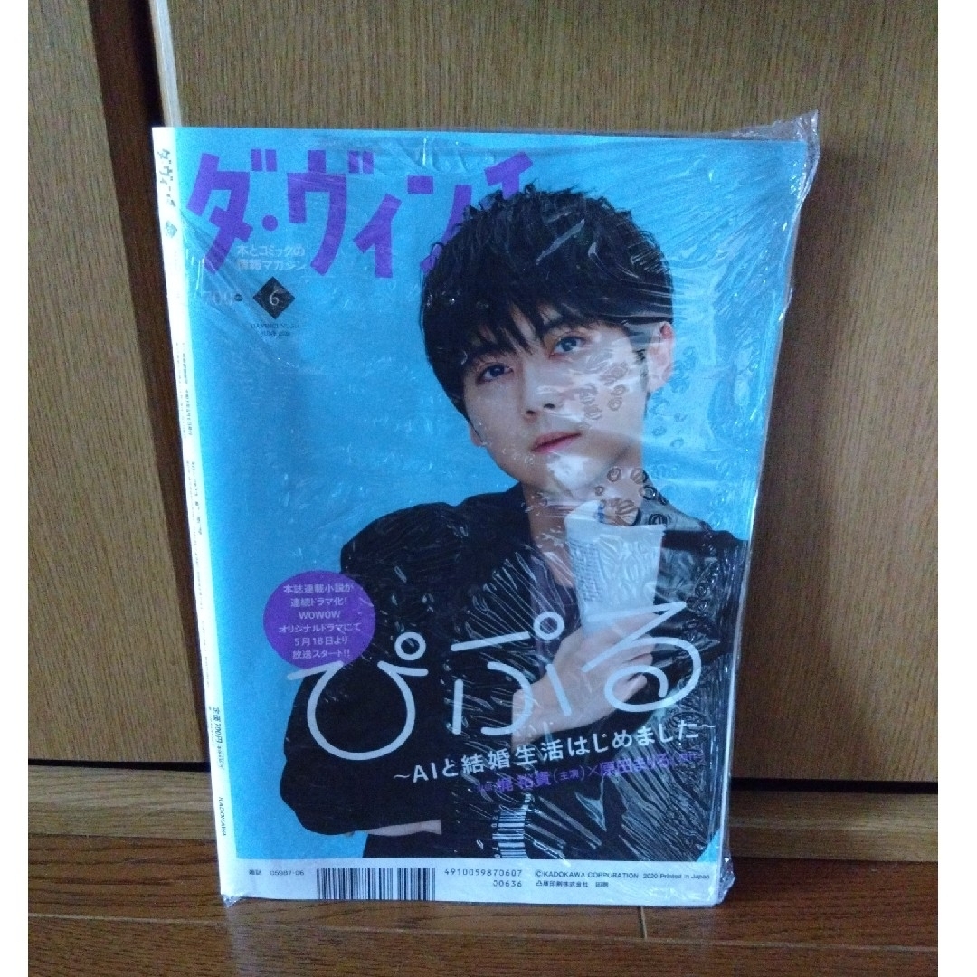 雑誌ダ・ヴィンチ エンタメ/ホビーの雑誌(文芸)の商品写真