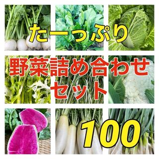 明日25日土曜日発送‼️新鮮お野菜(,,>᎑<,,)(野菜)