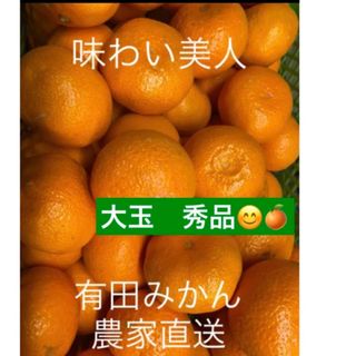 有田みかん農家直送　ブランド味わい美人大玉秀品箱込み5キロ(フルーツ)