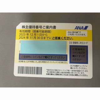 エーエヌエー(ゼンニッポンクウユ)(ANA(全日本空輸))のANA 株主優待　優待券　株主優待券(その他)