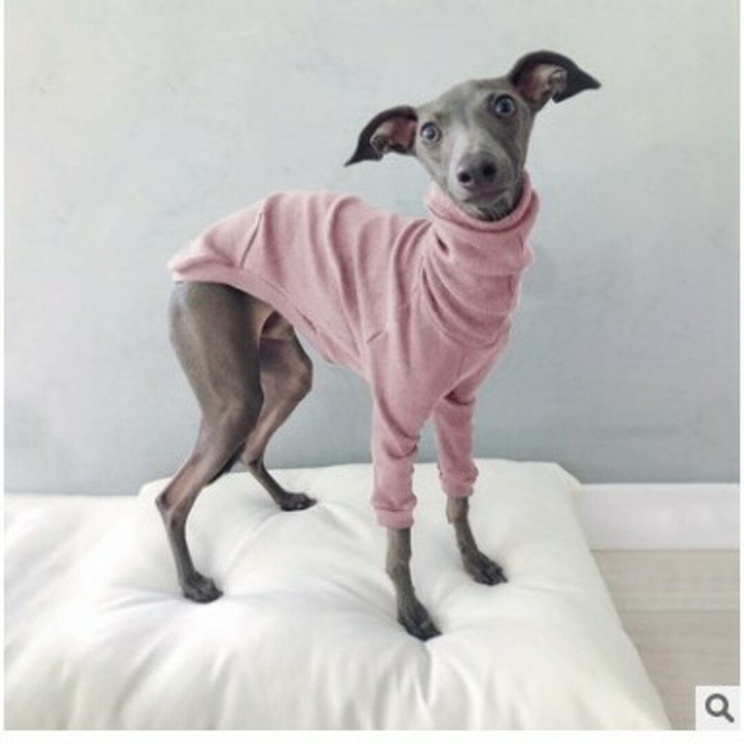 新品 2色セット犬服 ドッグウェアイタリアングレーハウンド首元あたた その他のペット用品(犬)の商品写真