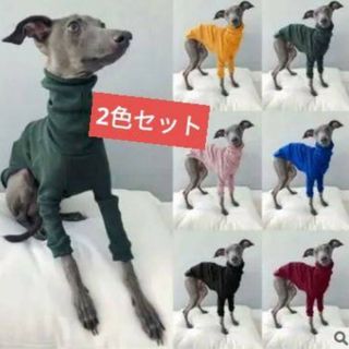 新品 2色セット犬服 ドッグウェアイタリアングレーハウンド首元あたた(犬)