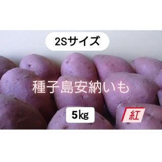 種子島安納いも紅2S　5キロ(野菜)