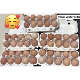 40個放し飼い卵(その他)
