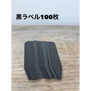 新品　ブラックラベル100枚 プランツタグ　園芸ラベル　植物ラベル　多肉タグ(その他)