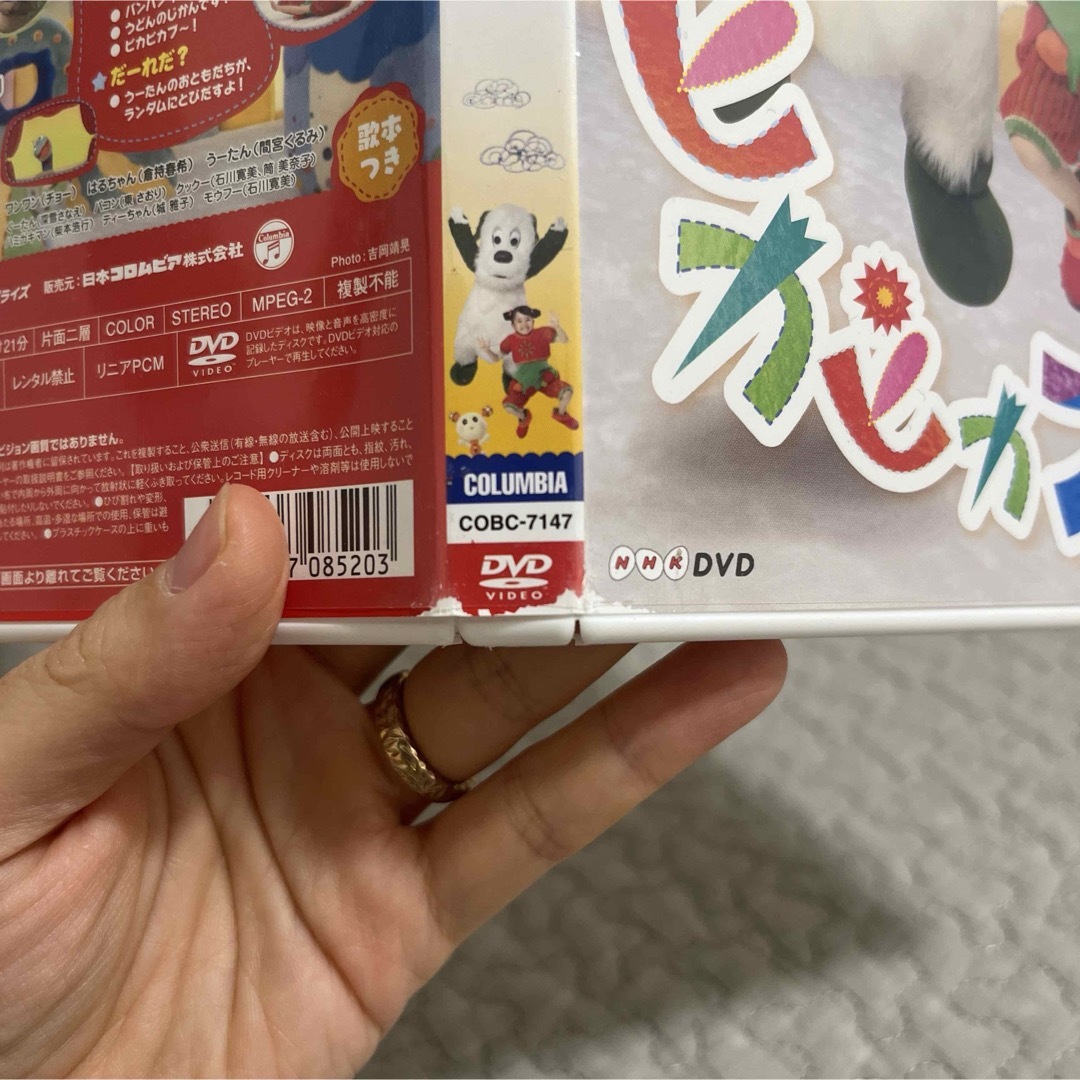 【いないいないばぁっ！】NHK DVD いないいないばあっ!ピカピカブ～! エンタメ/ホビーのDVD/ブルーレイ(キッズ/ファミリー)の商品写真