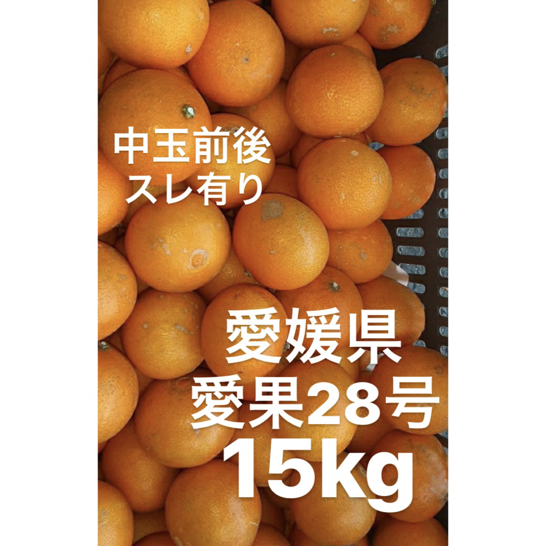 愛媛県産 家庭用 愛果28号 柑橘 15kgの通販 by sari's shop｜ラクマ